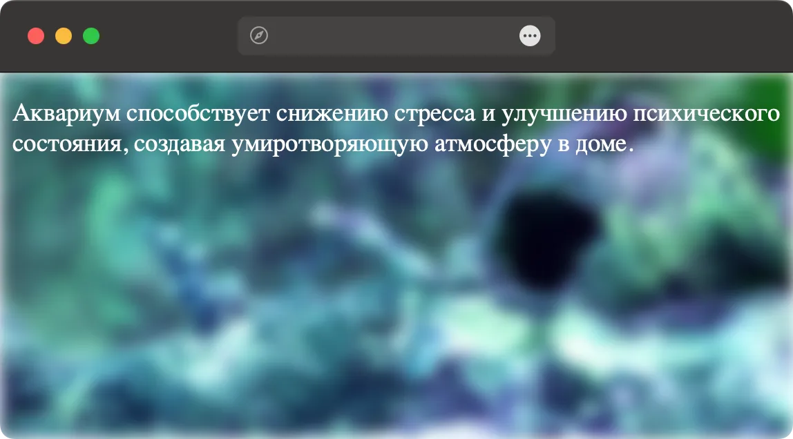 Размытый фон