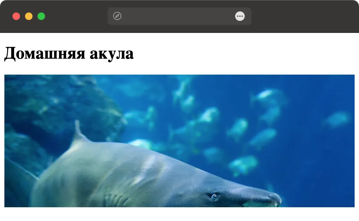 Фоновая картинка на всю ширину