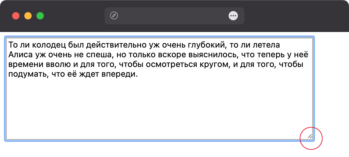 Вид текстового поля